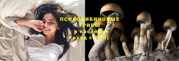 эйфоретик Новодвинск