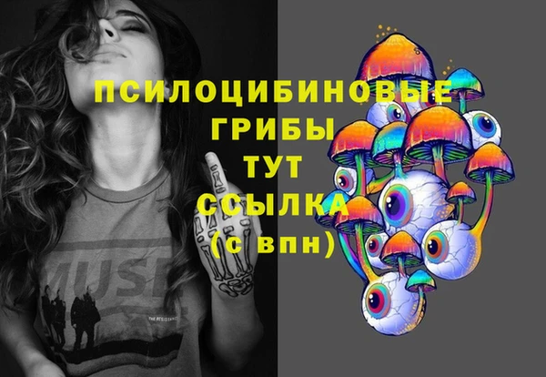 эйфоретик Новодвинск