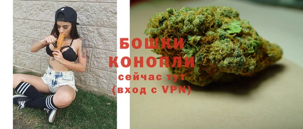 эйфоретик Новодвинск