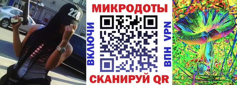 Купить  Чердынь  Псилоцибиновые грибы Psilocybe 