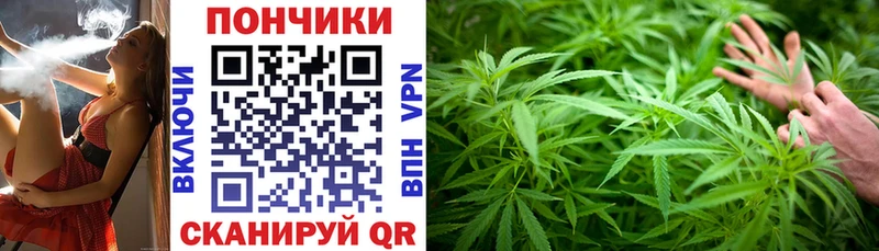 Каннабис Amnesia Чердынь